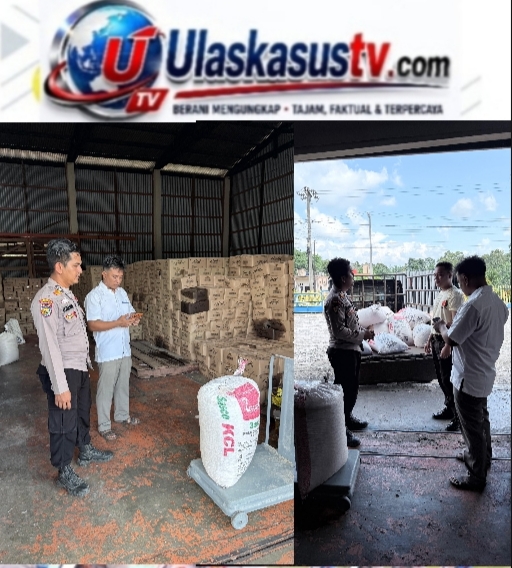 Polsek Kepenuhan Fasilitasi Penjualan Jagung Petani ke Bulog, Hasil Panen Terserap Maksimal