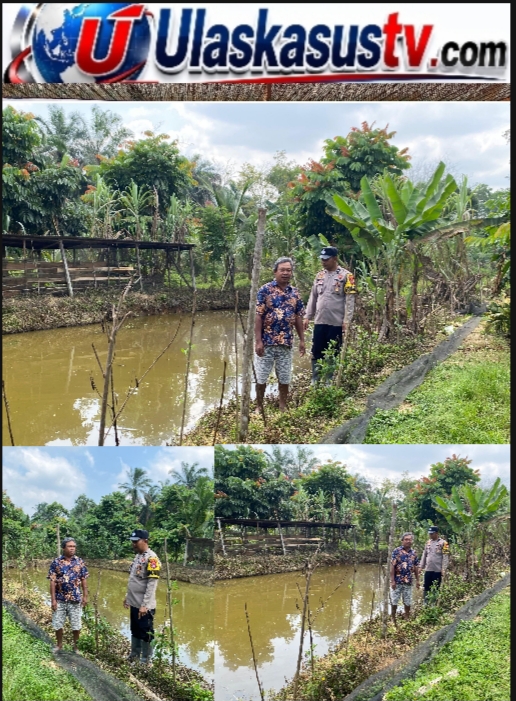 Dukung Program Swasembada Pangan Nasional, Bhabinkamtibmas Desa Lahai Kemuning Dampingi Budidaya 1.000 Ekor Ikan Air Tawar