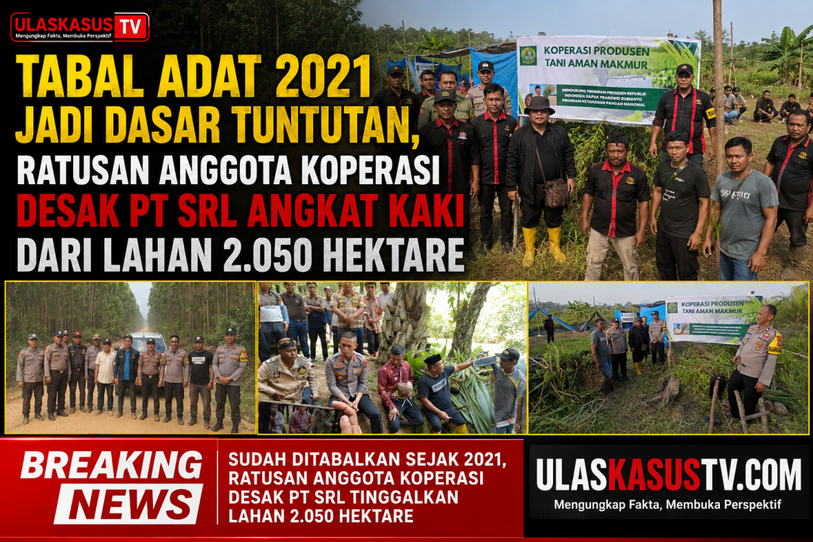 Tabal Adat 2021 Jadi Dasar Tuntutan, Ratusan Anggota Koperasi Desak PT SRL Angkat Kaki dari Lahan 2.050 Hektare”