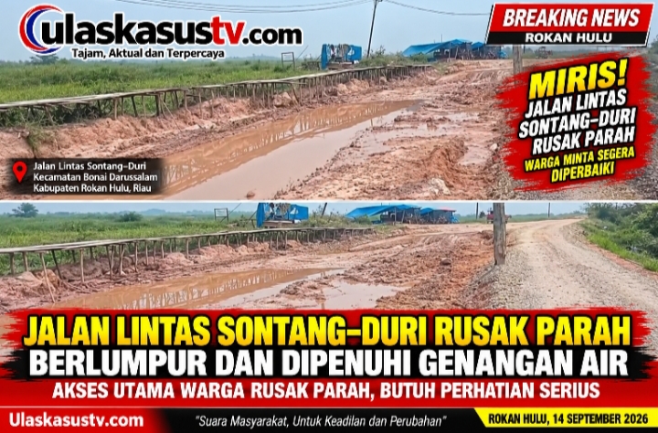 Jalan Lintas Sontang–Duri Rusak Parah, Berlumpur dan Dipenuhi Genangan Air