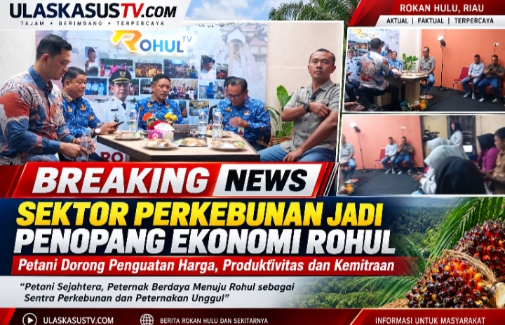 Sektor Perkebunan Jadi Penopang Ekonomi Rohul, Petani Dorong Penguatan Harga, Produktivitas dan Kemitraan