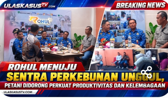 Rohul Menuju Sentra Perkebunan Unggul, Petani Didorong Perkuat Produktivitas dan Kelembagaan