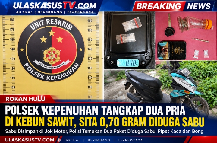 Kebun Sawit Jadi Lokasi Penangkapan, Polsek Kepenuhan Sita 0,70 Gram Diduga Sabu
